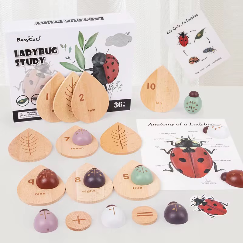 Ladybug kit